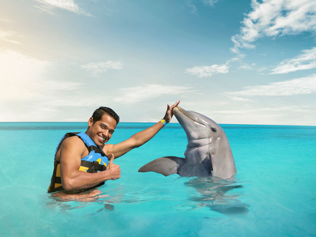 Catamaran Crucero del Sol Cayo coco | Baño con delfines